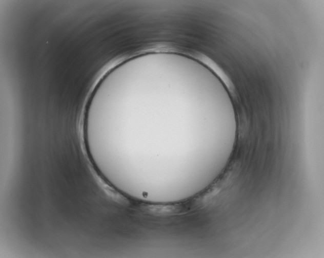 X0000111630861200908071410