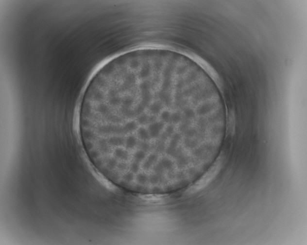 X0000111630862200908071410