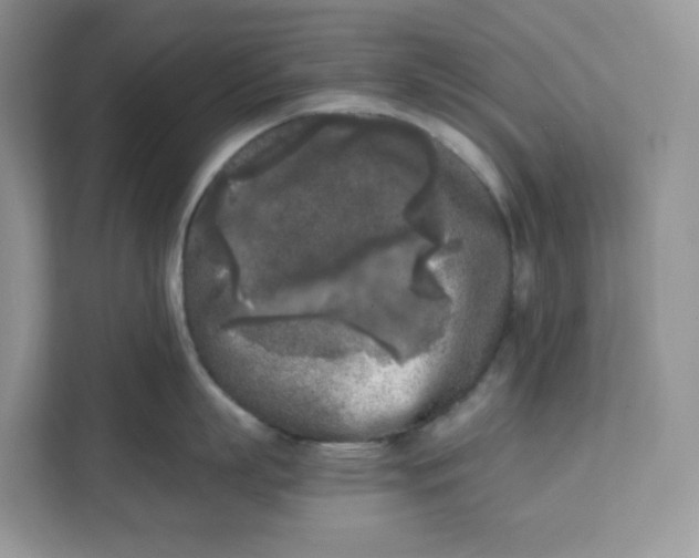 X0000111630863200908071410