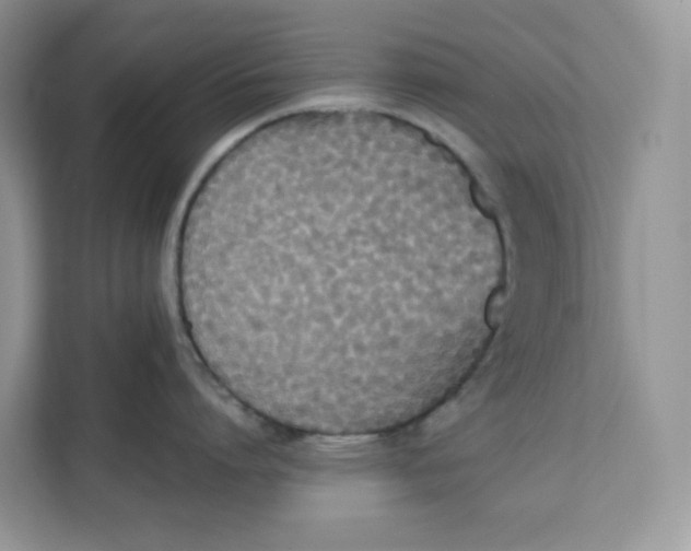 X0000111630864200908071410