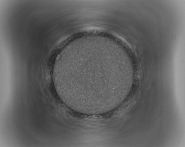 X0000111630869200908071409