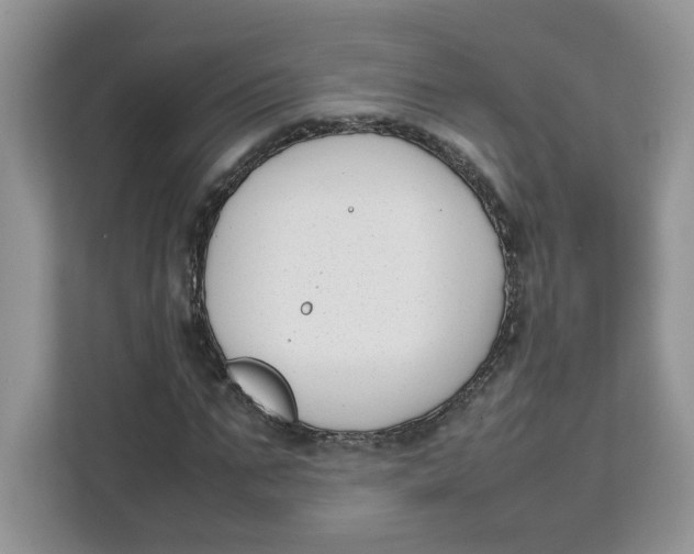 X0000111630871200908071409