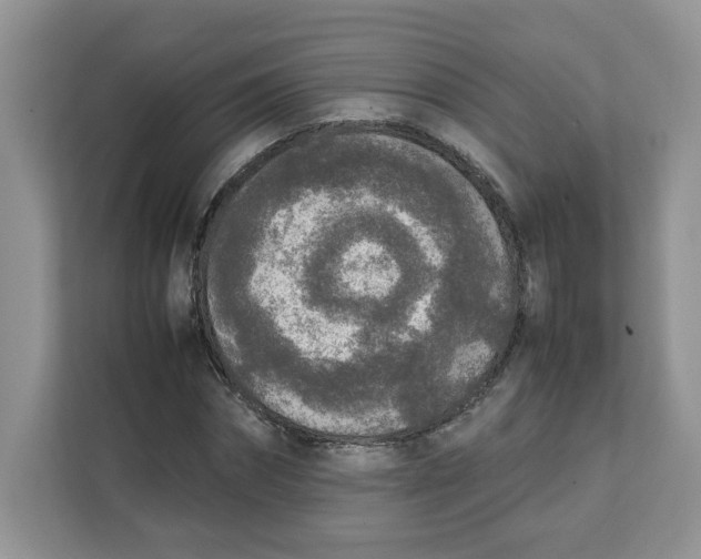 X0000111630874200908071409