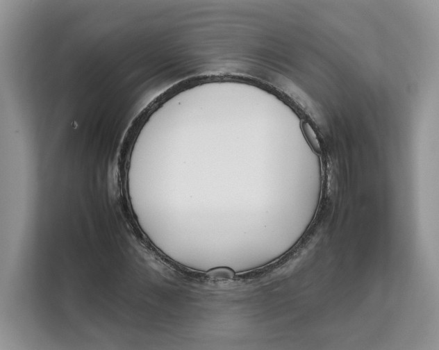 X0000111630876200908071409