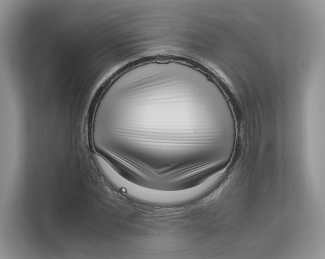 X0000111630877200908071409