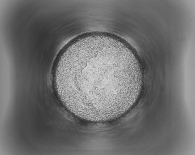 X0000111630879200908071409