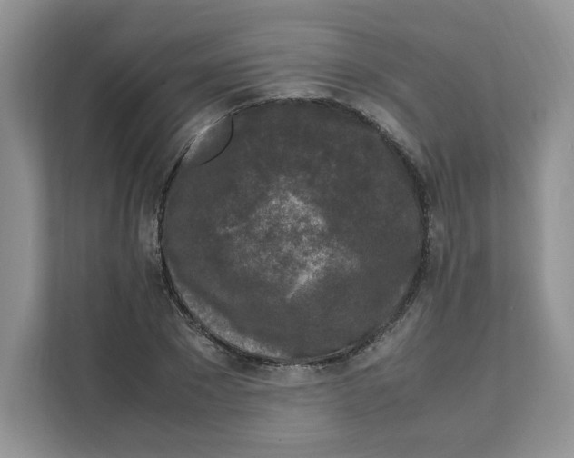 X0000111630881200908071409