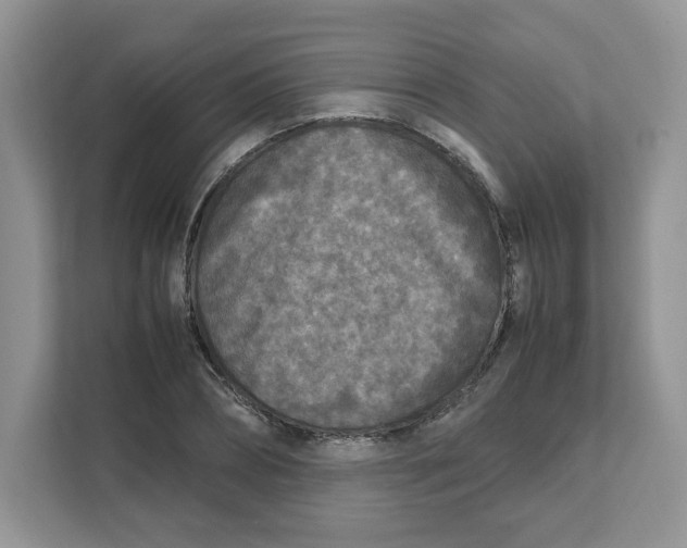 X0000111630882200908071409