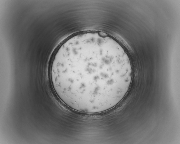 X0000111630884200908071409