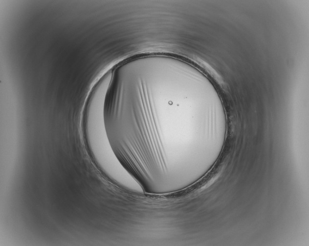 X0000111630885200908071409