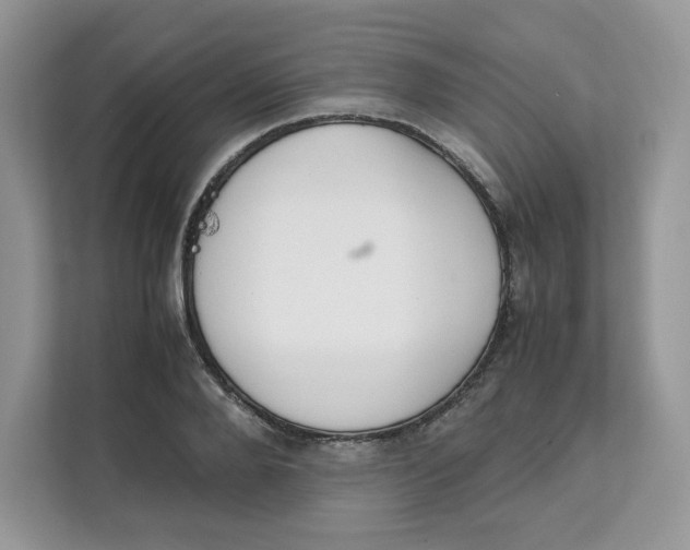 X0000111630888200908071409