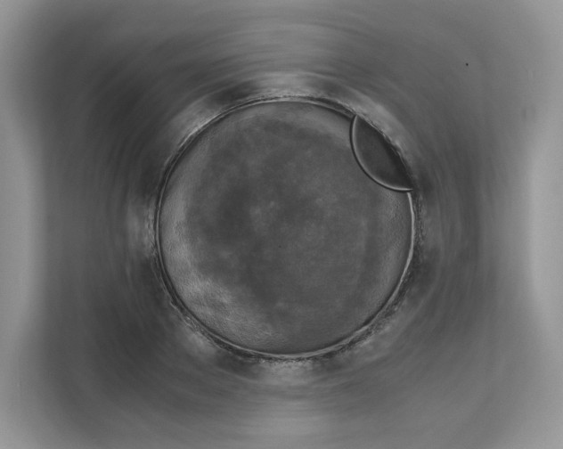 X0000111630889200908071409