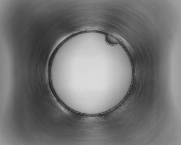 X0000111630894200908071409