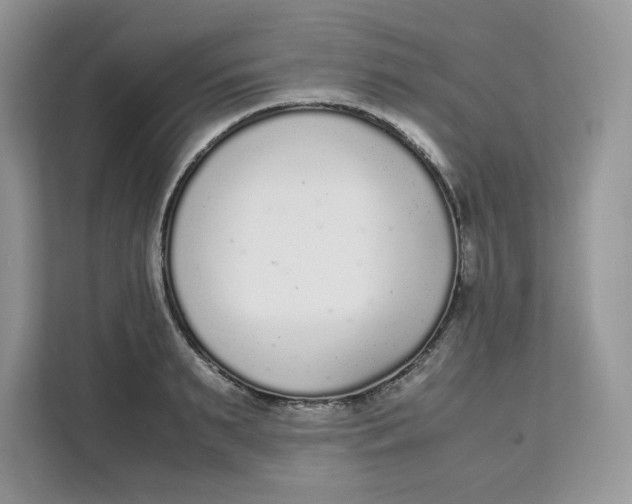 X0000111630895200908071409