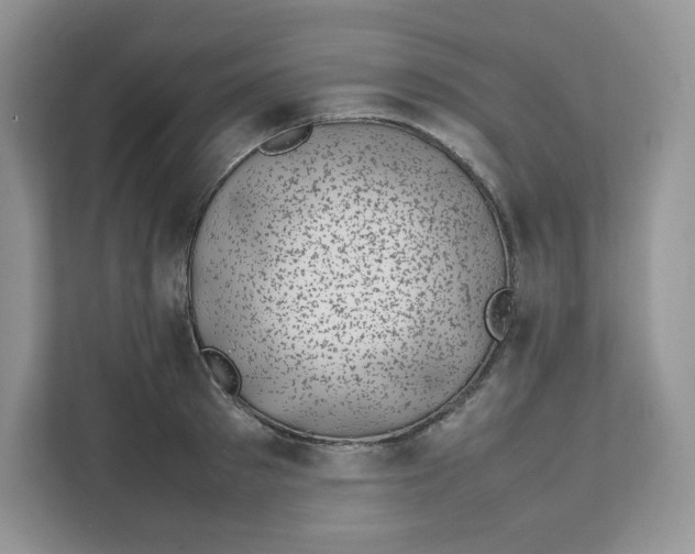 X0000111630897200908071409