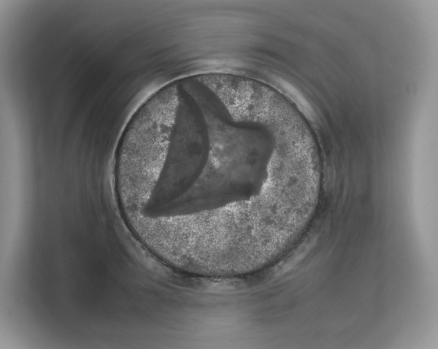 X0000111630899200908071409