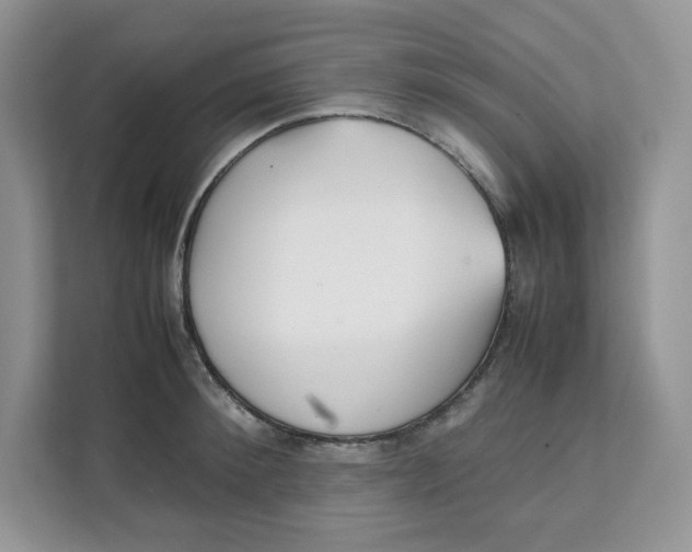 X0000111630900200908071409