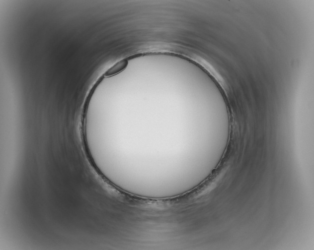 X0000111630901200908071409