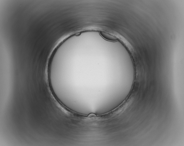 X0000111630902200908071409