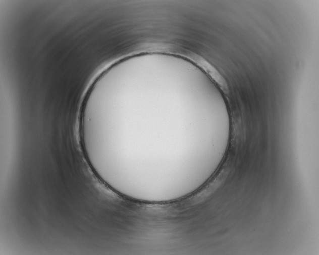 X0000111630904200908071409