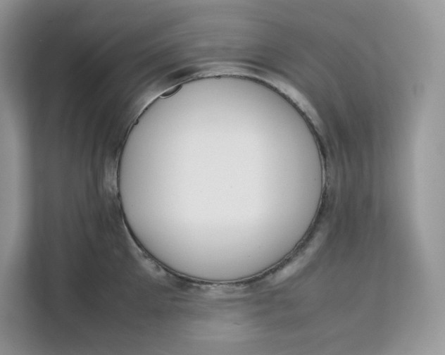 X0000111630905200908071409