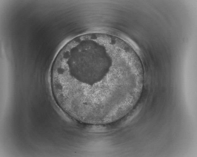 X0000111630907200908071409