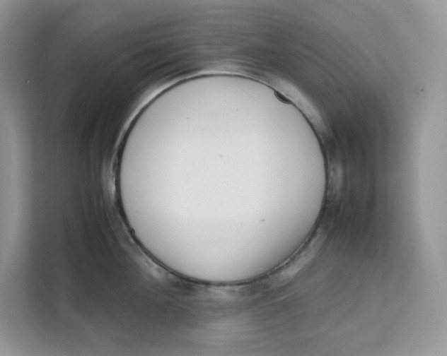 X0000111630908200908071409