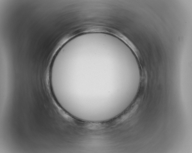 X0000111630909200908071409