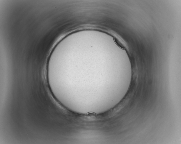 X0000111630911200908071409