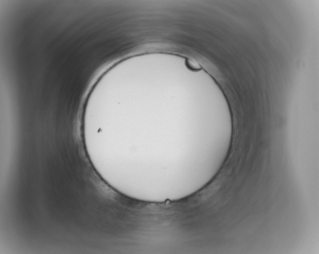 X0000111630912200908071409