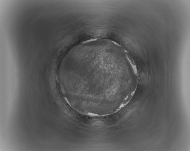 X0000111630913200908071408