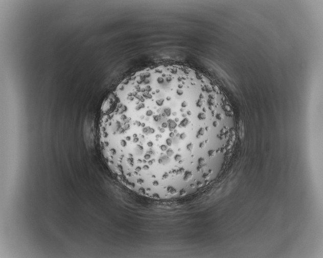 X0000111630915200908071408