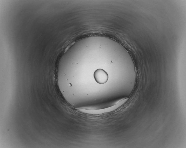 X0000111630916200908071408