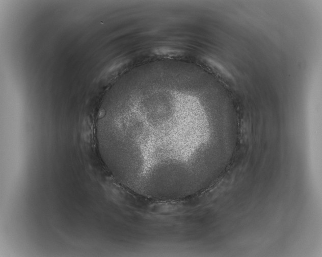 X0000111630917200908071408