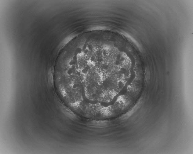 X0000111630921200908071408