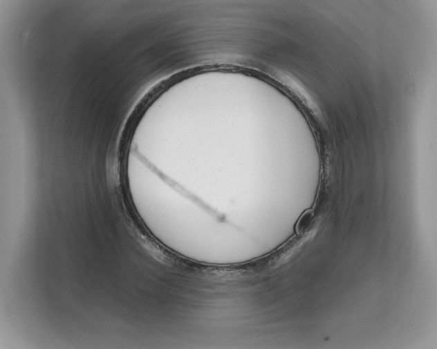 X0000111630924200908071408