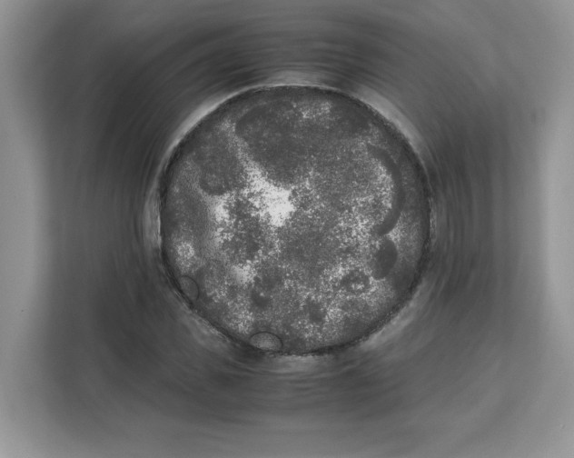 X0000111630925200908071408