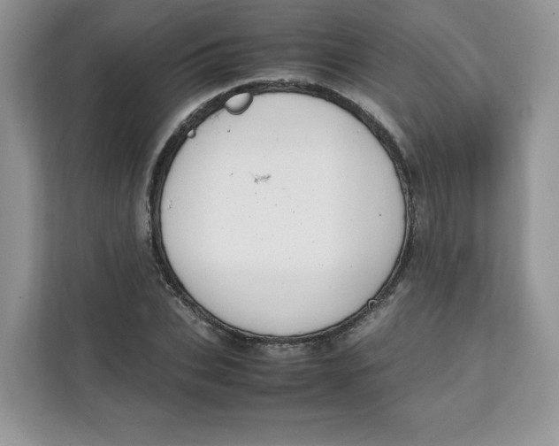 X0000111630927200908071408