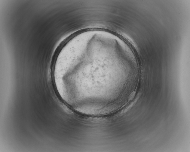 X0000111630928200908071408