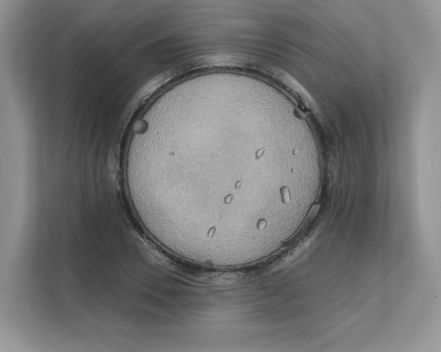 X0000111630930200908071408