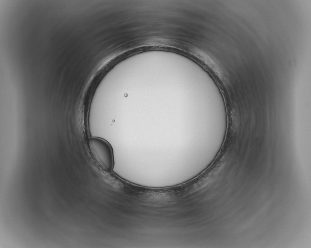 X0000111630931200908071408