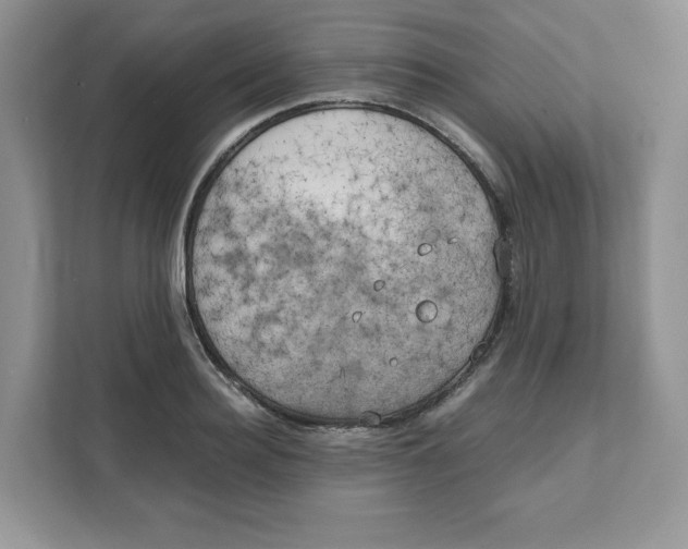 X0000111630940200908071408