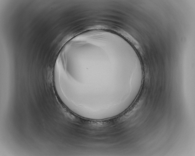 X0000111630945200908071408