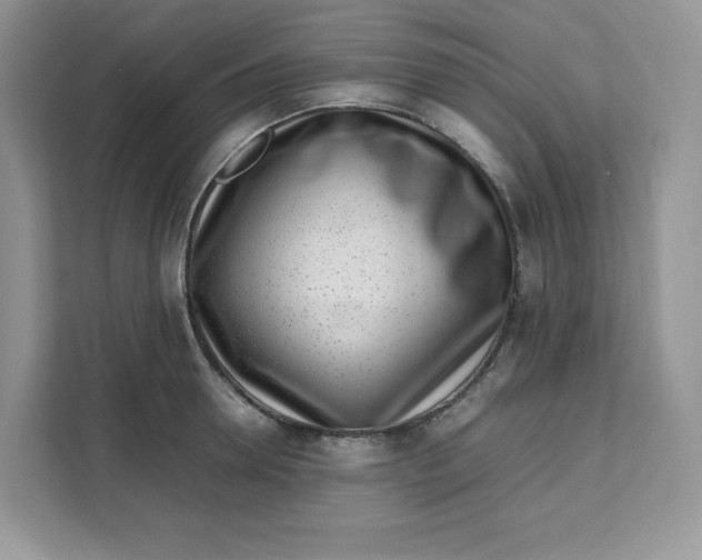 X0000111630946200908071408