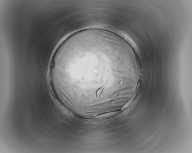 X0000111630948200908071408