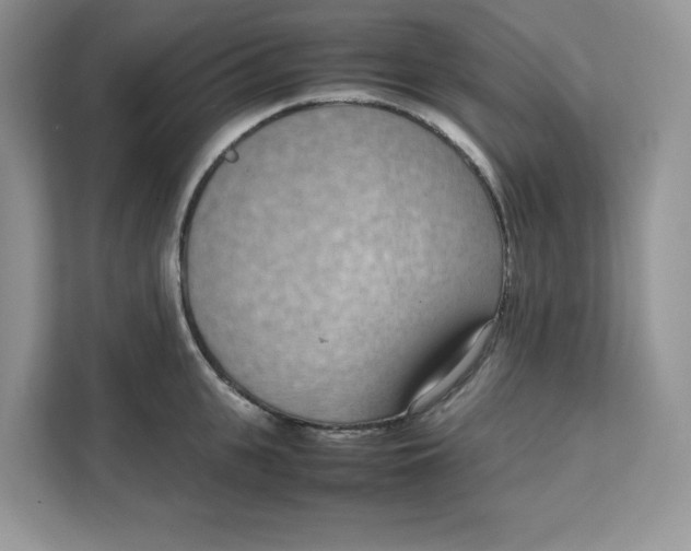 X0000111630951200908071408