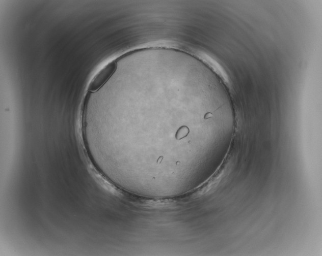 X0000111630952200908071408