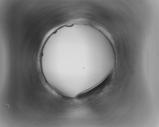 X0000111630960200908071409