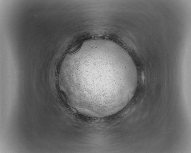 X0000111630961200908071408