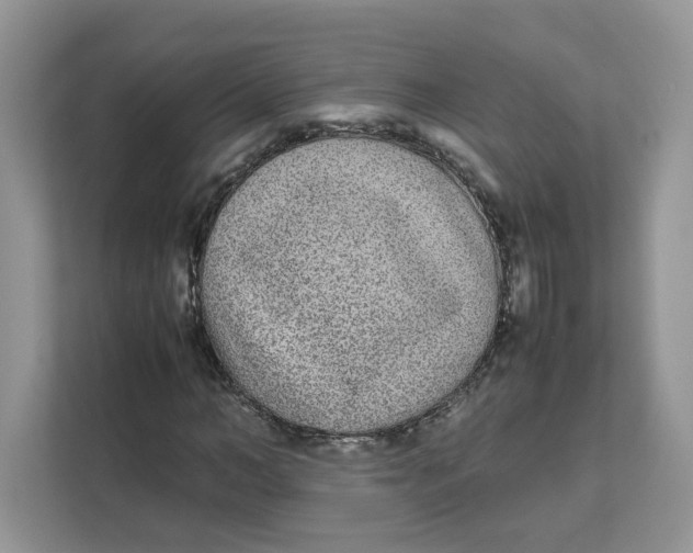 X0000111630966200908071408